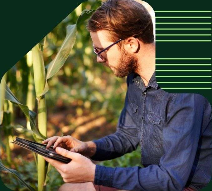 imagem cliente eucatratus simulador de orçamento online plantação produtor rural