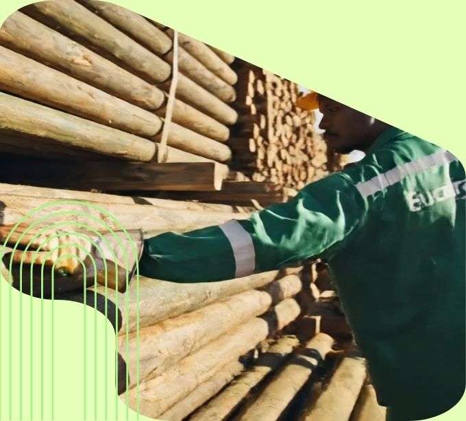 imagem pilha mourões madeira roliça funcionário operador uniforme eucatratus