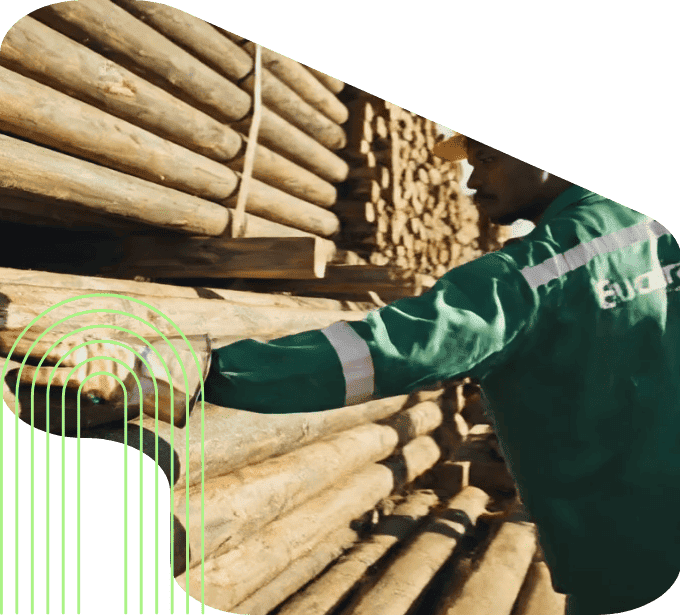 imagem pilha mourões madeira roliça funcionário operador uniforme eucatratus