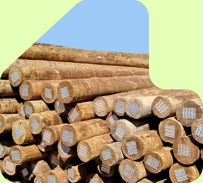 imagem pilha mouroes eucalipto tratado eucatratus