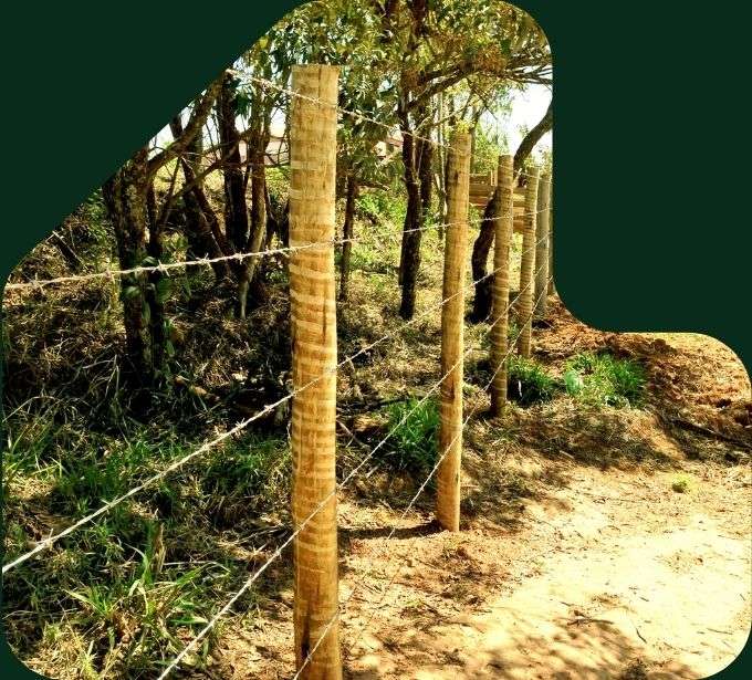 imagem cerca arame farpado com eucalipto tratado eucatratus