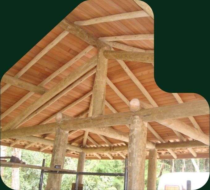 imagem telhado madeira eucalipto tratado eucatratus