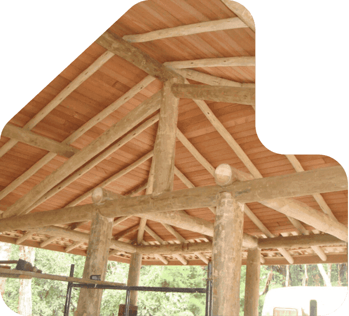 imagem telhado madeira eucalipto tratado eucatratus