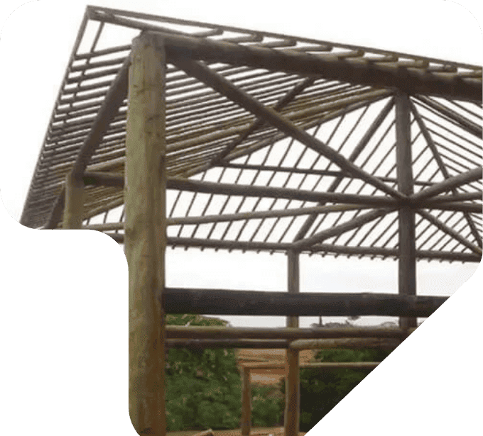 imagem casa de madeira estrutura construção civil com eucalipto tratado eucatratus