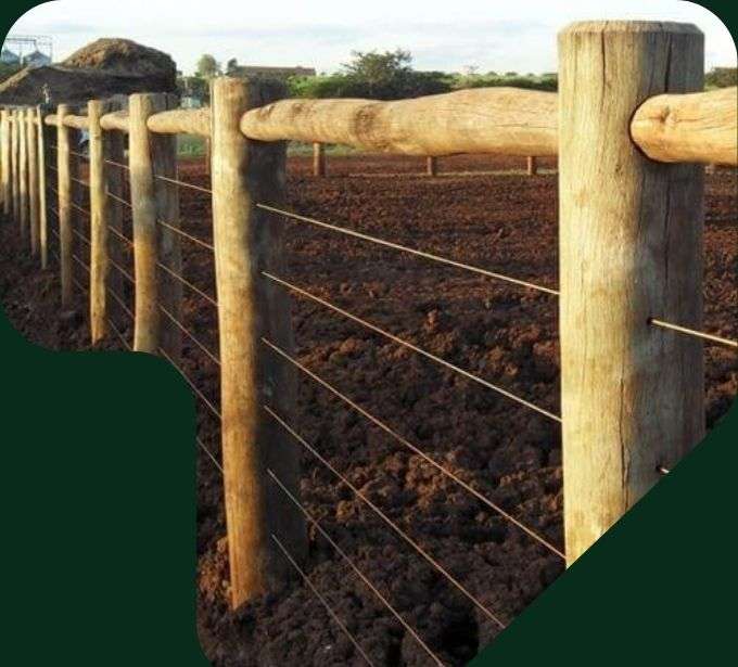 imagem cerca rural com eucalipto tratado eucatratus