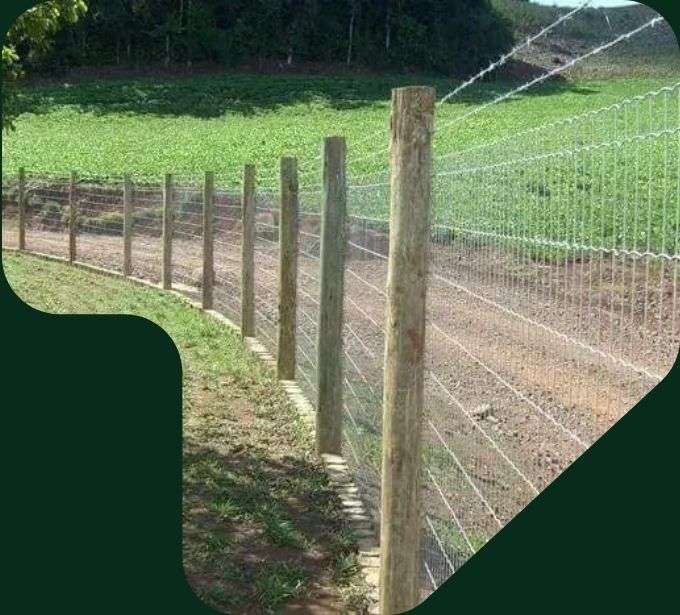 imagem cerca rural tela alambrado eucalipto tratado eucatratus