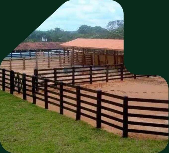 imagem curral com réguas de eucalipto tratado eucatratus