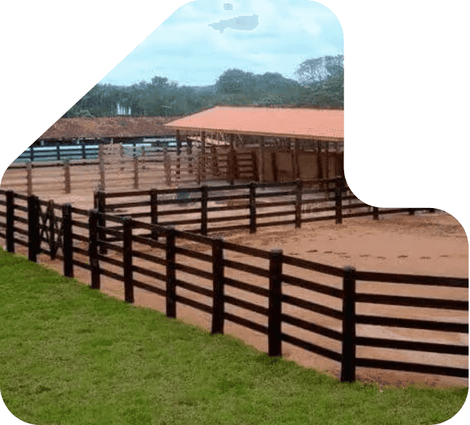 imagem curral com réguas de eucalipto tratado eucatratus