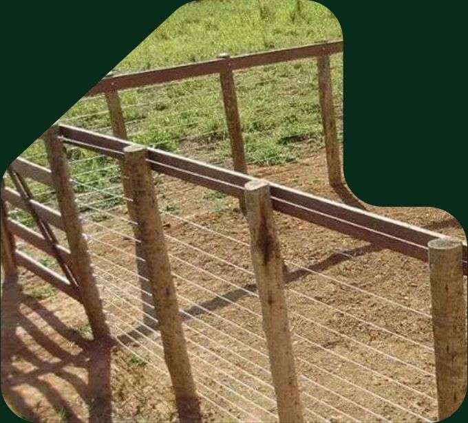 imagem curral cordoalha com eucalipto tratado eucatratus