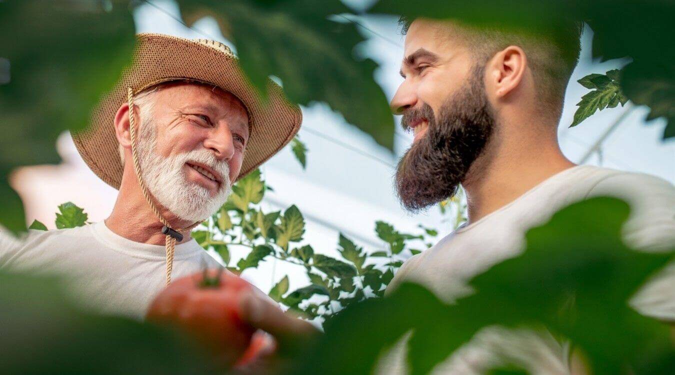 foto produtor rural pai e filho plantacao tomate estaca agricola eucatratus eucalipto tratado