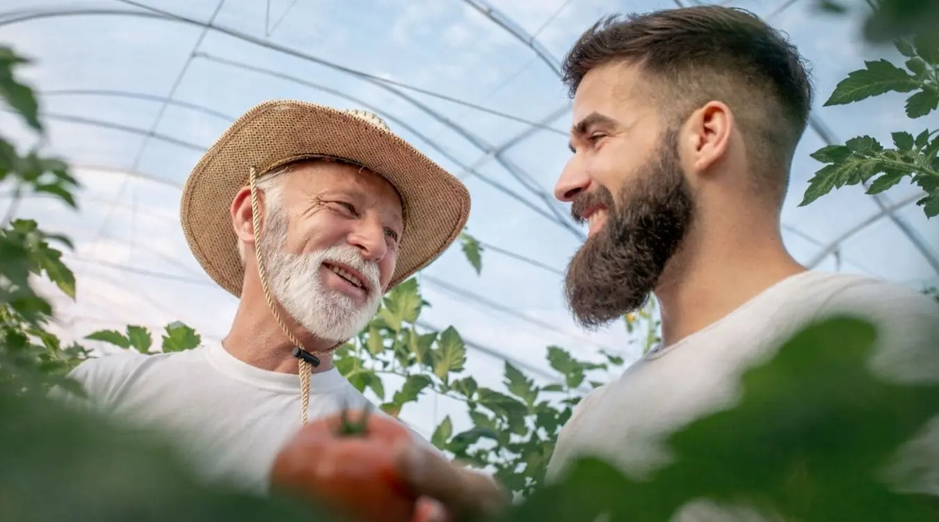 foto produtor rural pai e filho plantacao tomate estaca agricola eucatratus eucalipto tratado